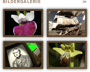 Galerie